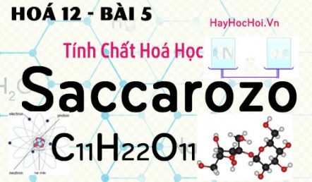 Tính chất hoá học, công thức cấu tạo của Saccarozo, Tinh bột và Xenlulozo - hoá 12 bài 6